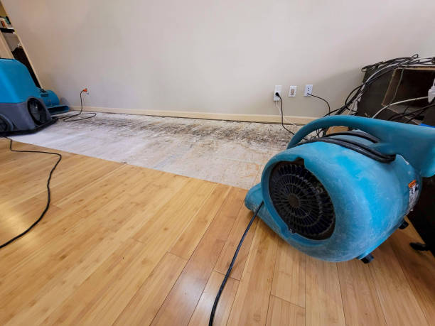 Professional Basement Flood Cleanup technician working in East Islip, NY
